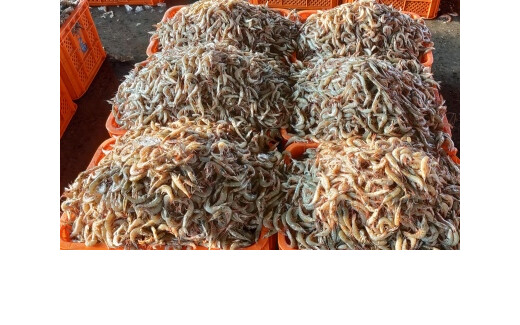 यूरोपीय संघ ने 102 नए भारतीय मत्स्य प्रतिष्ठानों को निर्यात के लिए किया सूचीबद्ध 